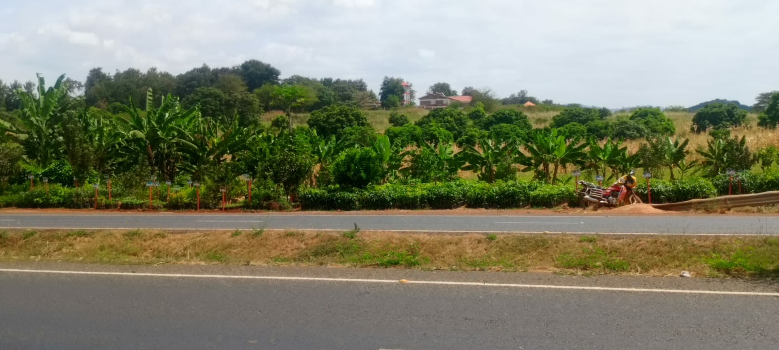 20 Acres For Sale Near Makutano, Thika-Sagana Highway